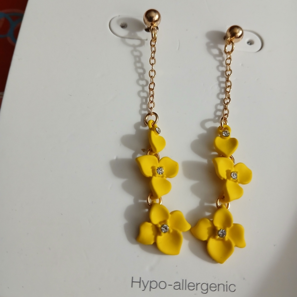Earrings  brand new